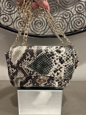 BULAGGI Snake-Print Chain Crossbody Bag - Black & Cream